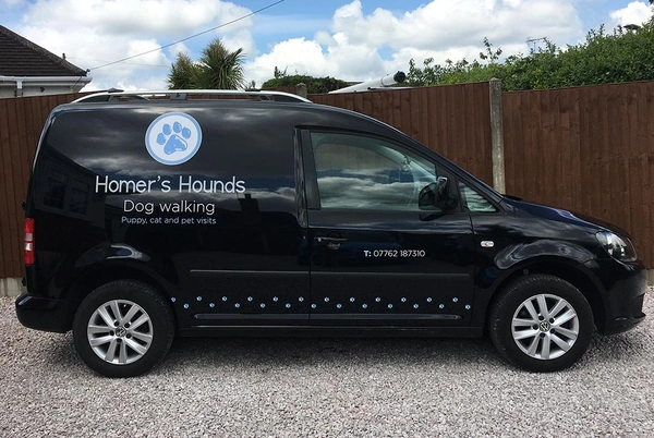  Homer - S - Hounds - Vw - Caddy - Graphics